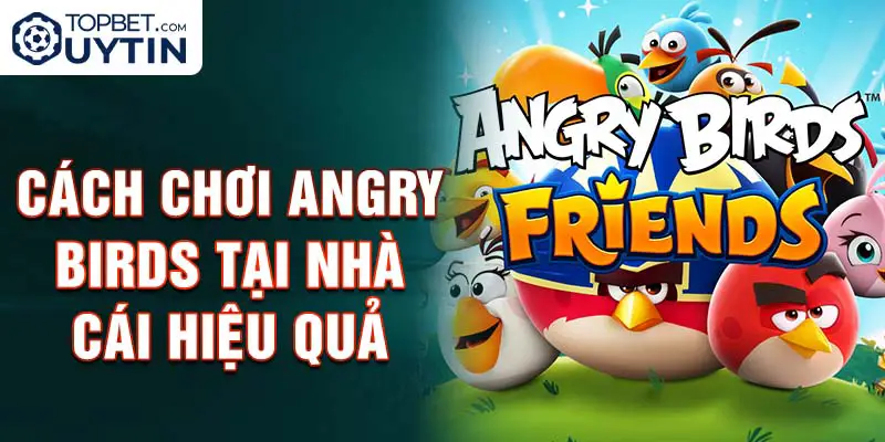 Cách chơi Angry Birds tại nhà cái hiệu quả