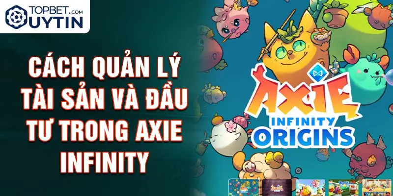 Cách quản lý tài sản và đầu tư trong Axie Infinity