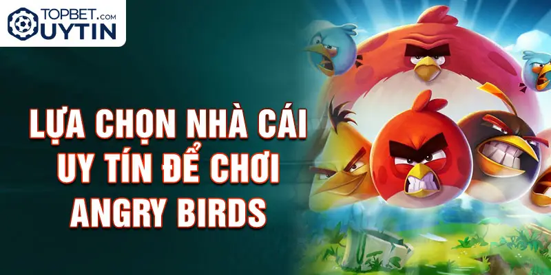 Lựa chọn nhà cái uy tín để chơi Angry Birds