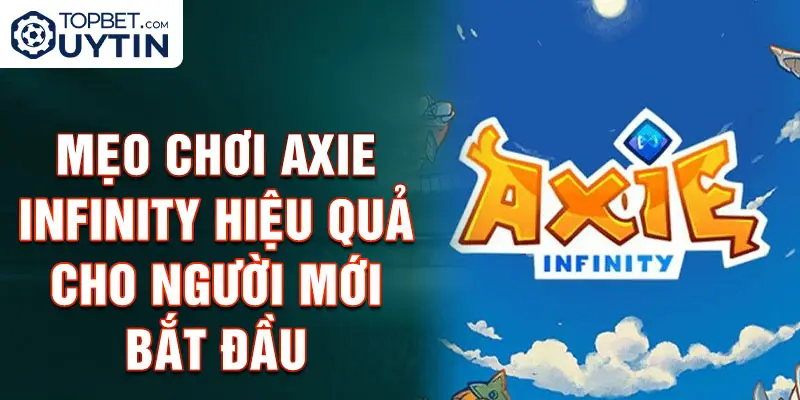 Mẹo cách chơi Axie Infinity hiệu quả cho người mới bắt đầu