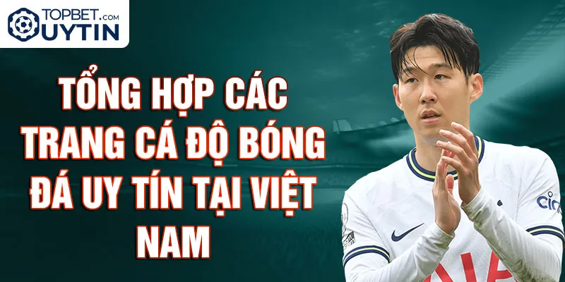 Tổng Hợp Các Trang Cá Độ Bóng Đá Uy Tín Tại Việt Nam