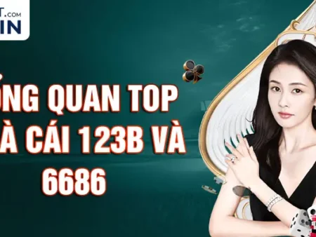 123B và 6686 So Sánh Nhà Cái – Lựa Chọn Tối Ưu Cho Bạn